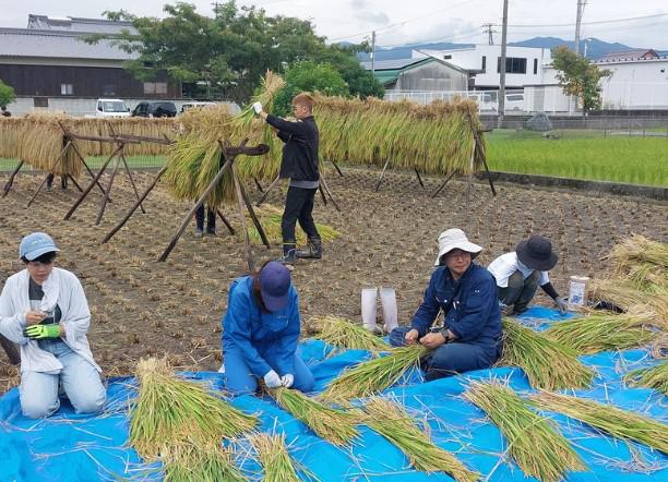 スクリーンショット 2025-11-19 115305.jpg