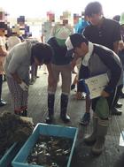 網にかかった生き物をチェック1 (2).jpg